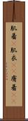 肌着(P) Scroll