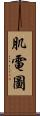 肌電圖 Scroll