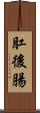 肛後腸 Scroll