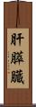 肝膵臓 Scroll