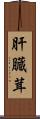 肝臓茸 Scroll