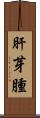肝芽腫 Scroll