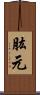 肱元 Scroll