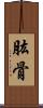 肱骨 Scroll