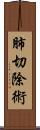 肺切除術 Scroll