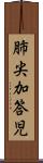肺尖加答児 Scroll