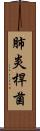 肺炎桿菌 Scroll