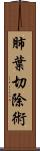 肺葉切除術 Scroll