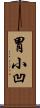胃小凹 Scroll