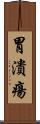 胃潰瘍 Scroll