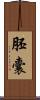 胚囊 Scroll