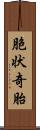 胞状奇胎 Scroll