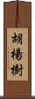 胡楊樹 Scroll