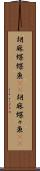 胡麻蝶蝶魚(rK) Scroll