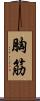 胸筋 Scroll