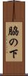 脇の下 Scroll