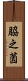 脇之薗 Scroll