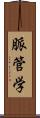 脈管学 Scroll