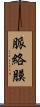 脈絡膜 Scroll