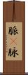 脈(P) Scroll