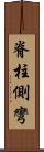 脊柱側彎 Scroll