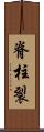 脊柱裂 Scroll