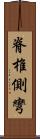 脊椎側彎 Scroll