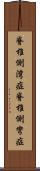 脊椎側湾症 Scroll