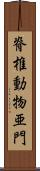 脊椎動物亜門 Scroll