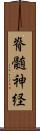 脊髄神経 Scroll