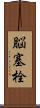 脳塞栓 Scroll