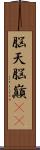 脳天 Scroll