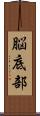 脳底部 Scroll