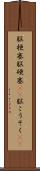 脳梗塞 Scroll