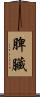 脾臟 Scroll