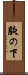 腋の下 Scroll