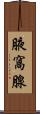 腋窩腺 Scroll