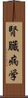 腎臓病学 Scroll