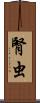 腎虫 Scroll