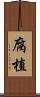 腐植 Scroll