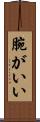腕がいい Scroll