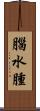 腦水腫 Scroll