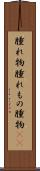 腫れ物 Scroll