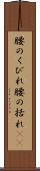 腰のくびれ Scroll
