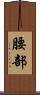 腰部 Scroll