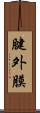 腱外膜 Scroll