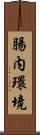 腸内環境 Scroll
