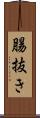 腸抜き Scroll