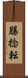 腸捻転 Scroll