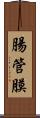 腸管膜 Scroll